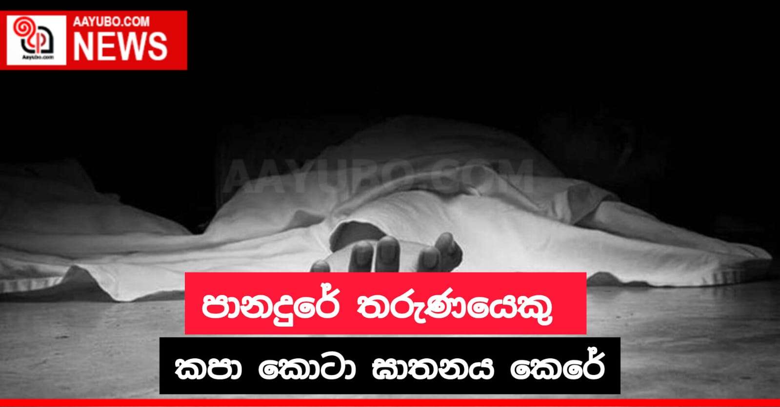 පානදුරේ තරුණයෙකු කපා කොටා ඝාතනය කෙරේ