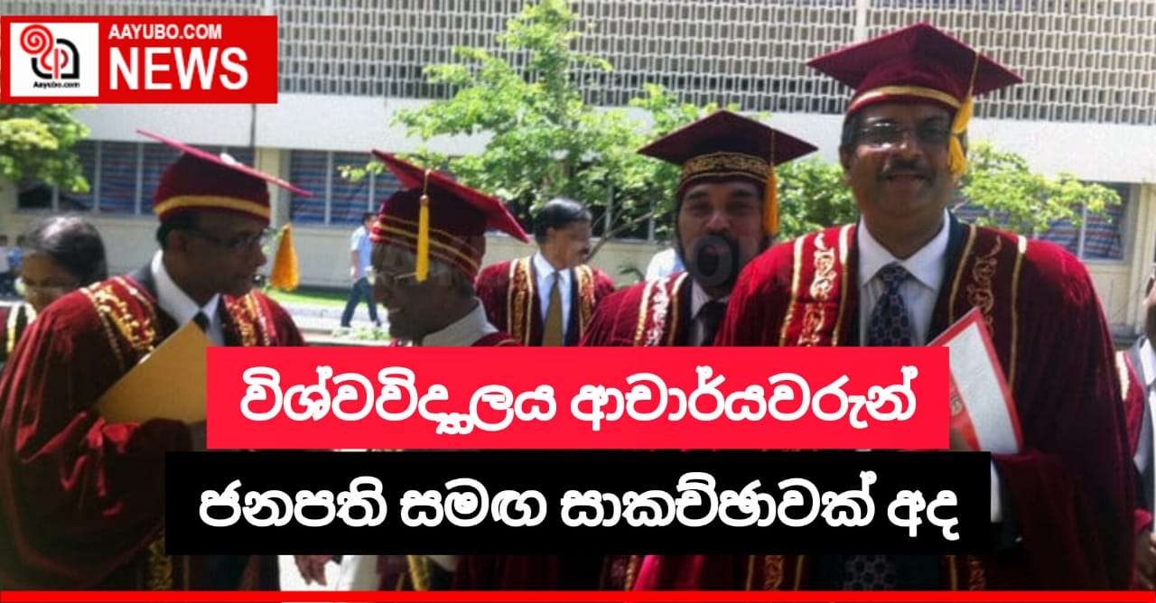 විශ්වවිද්‍යාල ආචාර්යවරුන් ජනාධිපති සමඟ සාකච්ඡාවක්