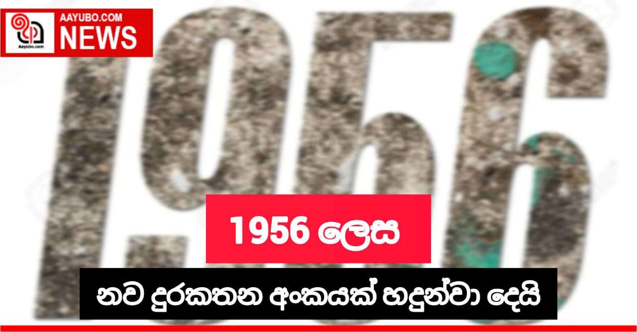 රාජ්‍ය භාෂා භාවිතයේදී මතුවන ගැටලු විසදා ගැනීම සදහා 1956 දුරකතන අංකය හදුන්වාදෙයි