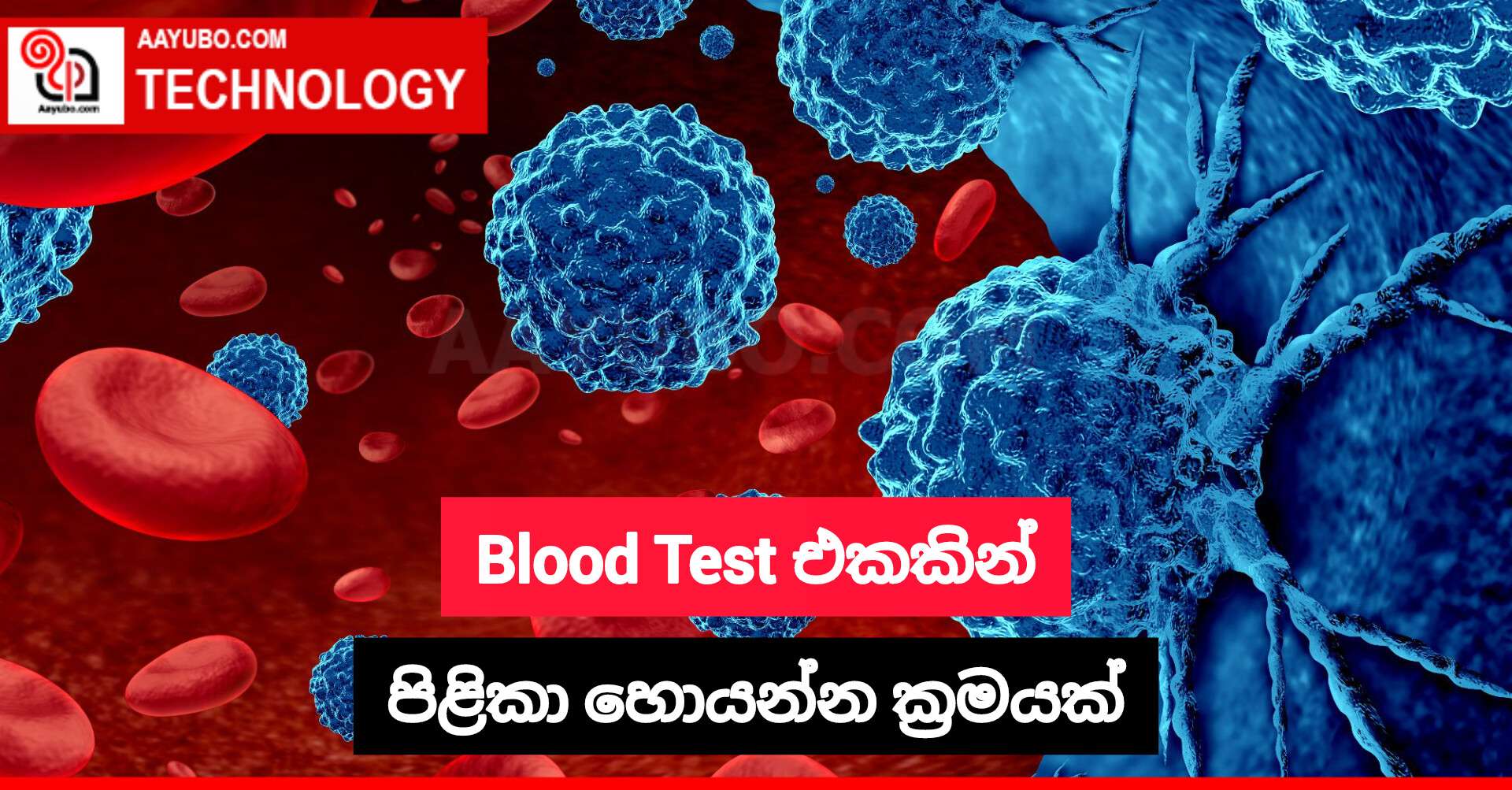 Blood Test එකකින් පිළිකා හොයන්න ක්‍රමයක්