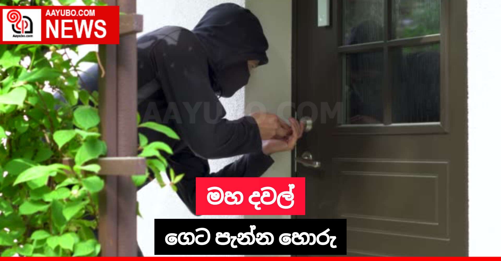 මහ දවල් ගෙට පැන්න හොරු
