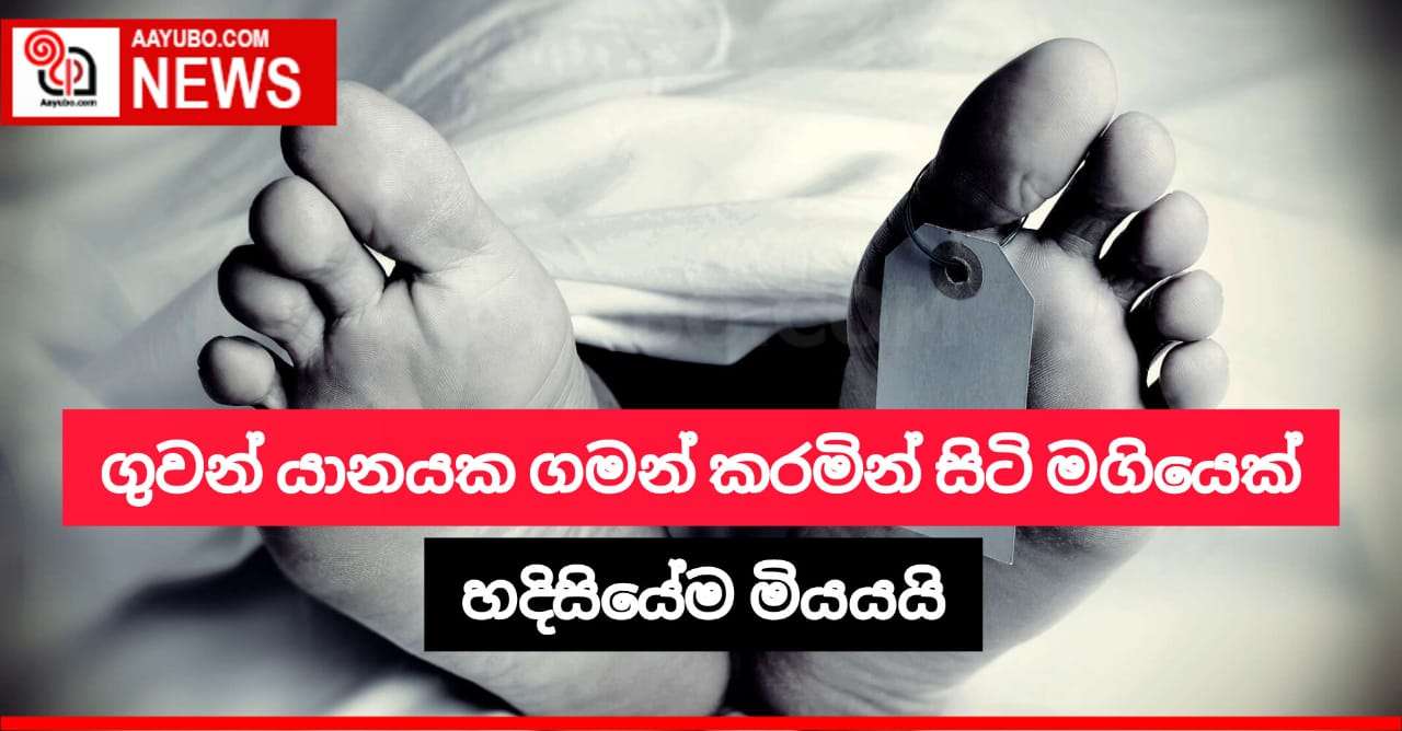 ගුවන් යානයක සිටි මගියෙක් එම ගුවන් යානය තුළදීම මිය යයි