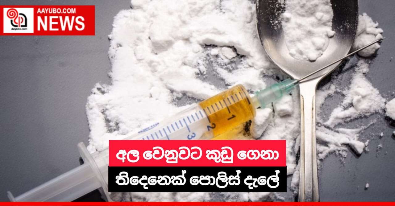 අල වෙනුවට කුඩු ගෙනා තිදෙනෙක් පොලිස් දැලේ