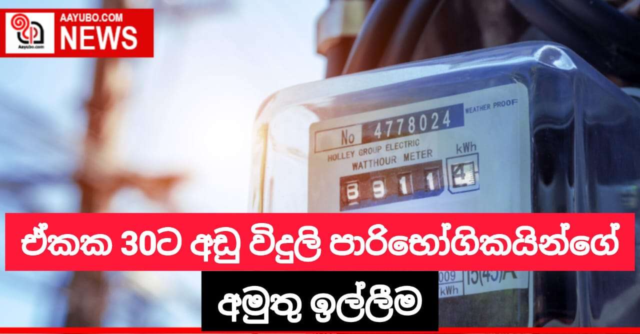 ඒකක 30ට අඩු විදුලි පාරිභෝගිකයින්ගේ අමුතු ඉල්ලීම