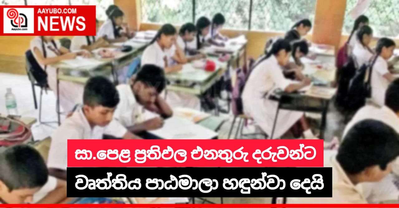 සා.පෙළ ප්‍රතිඵල එනතුරු දරුවන්ට වෘත්තිය පාඨමාලා හඳුන්වා දෙයි