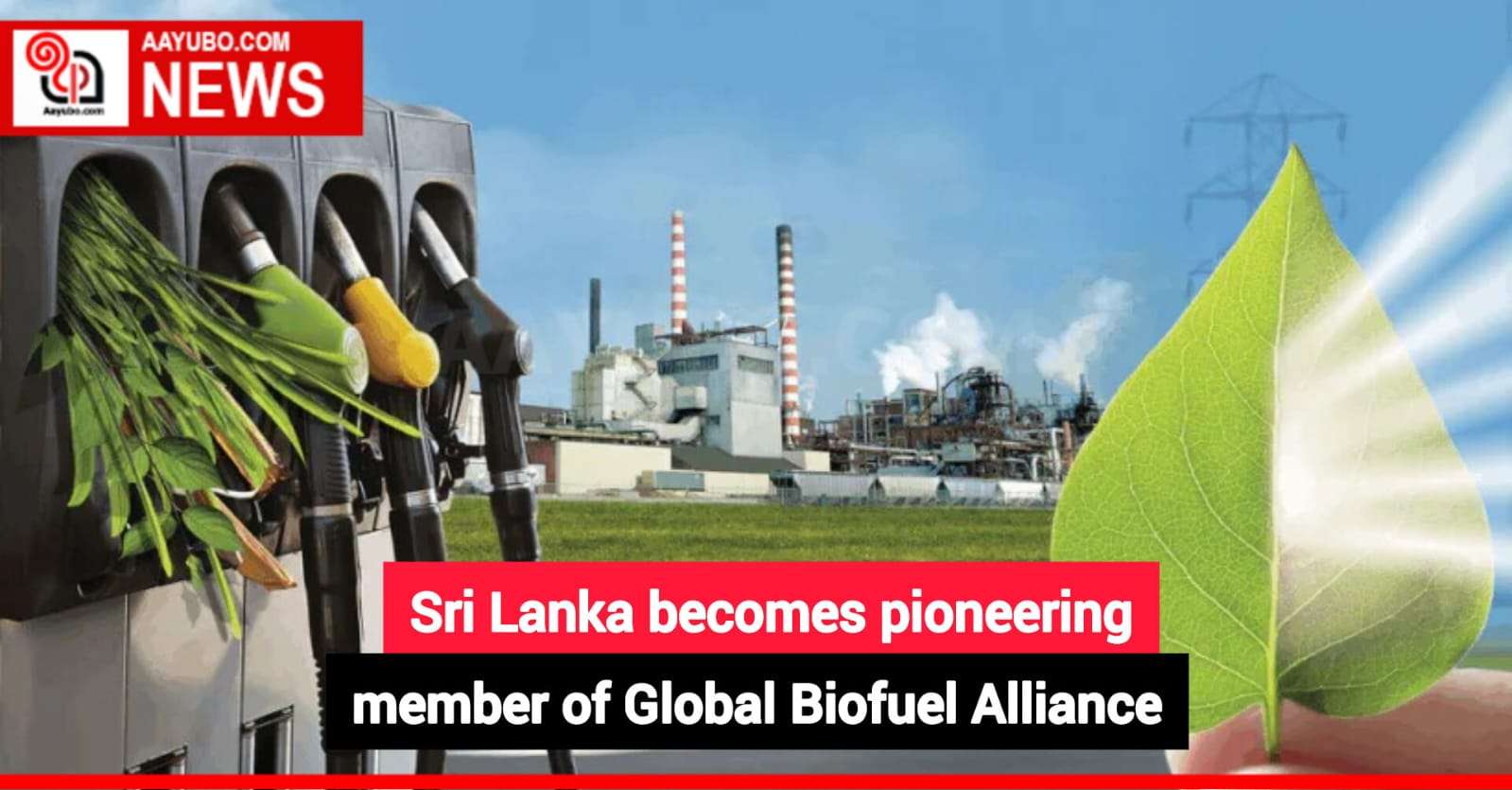 Chartered Accountants of Sri Lanka Australia Chapter and Consulate