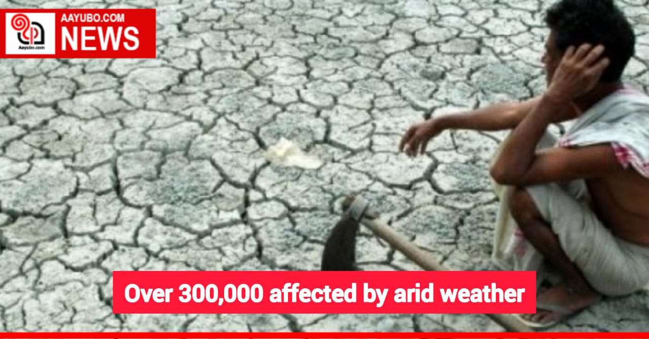 Over 300,000 affected by arid weather