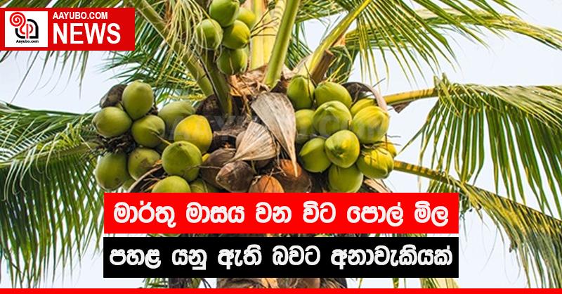 මාර්තු මාසය වන විට පොල් මිල පහළ යනු ඇති බවට අනාවැකියක් 