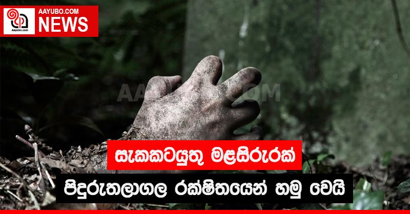සැකකටයුතු මළසිරුරක් පිදුරුතලාගල රක්ෂිතයෙන් හමු වෙයි