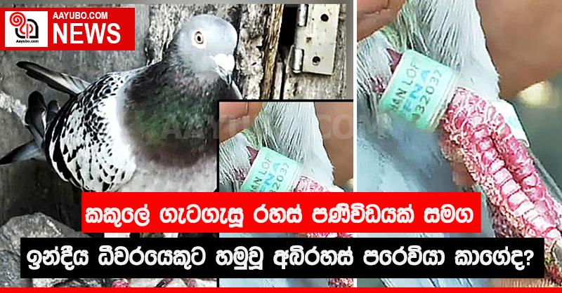 කකුලේ ගැටගැසූ රහස් පණිවිඩයක් සමග ඉන්දීය ධීවරයෙකුට හමුවූ අබිරහස් පරෙවියා කාගේද?