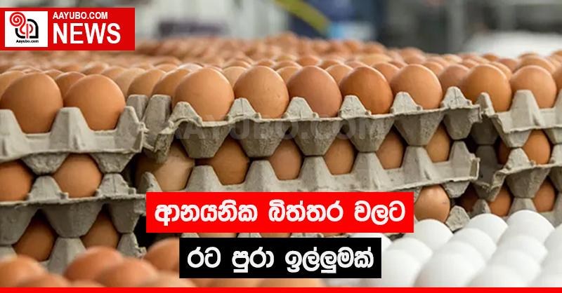ආනයනික බිත්තර වලට රට පුරා ඉල්ලුමක්
