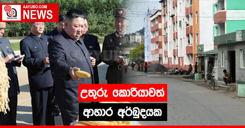 උතුරු කොරියාවත් ආහාර අර්බුදයක