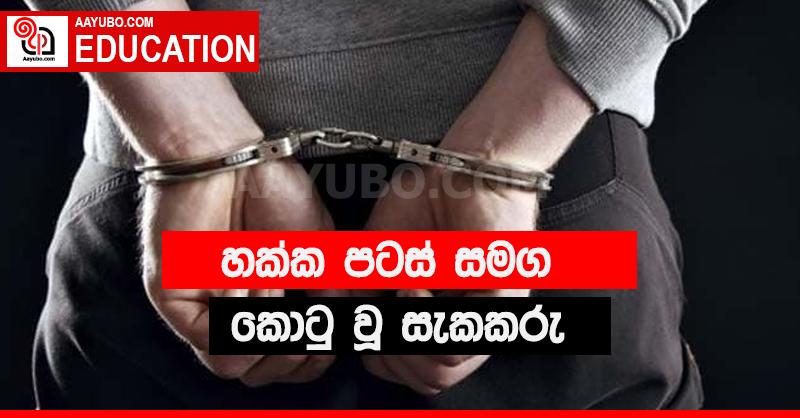 හක්ක පටස් සමග අයෙක් දැලේ.