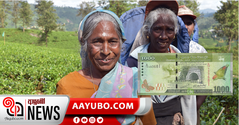 වැටුප් වැඩි නොකළොත් ‘වතු පවරාගන්න’ රජය සුදානම්