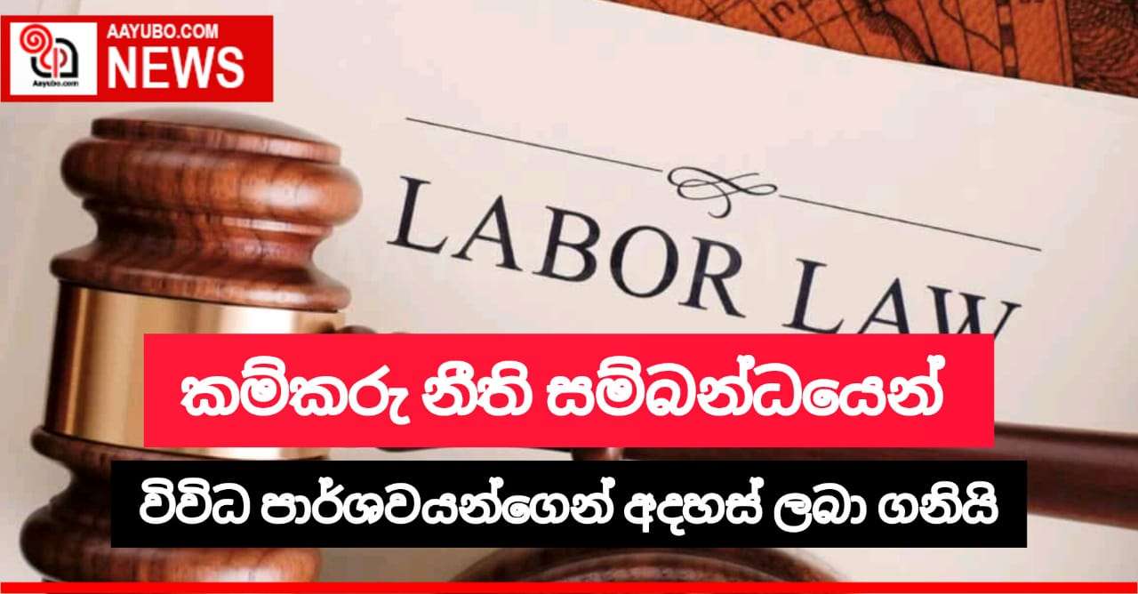 කම්කරු නීති සම්බන්ධයෙන් විවිධ පාර්ශ්වයන්ගෙන් අදහස් ලබා ගනියි