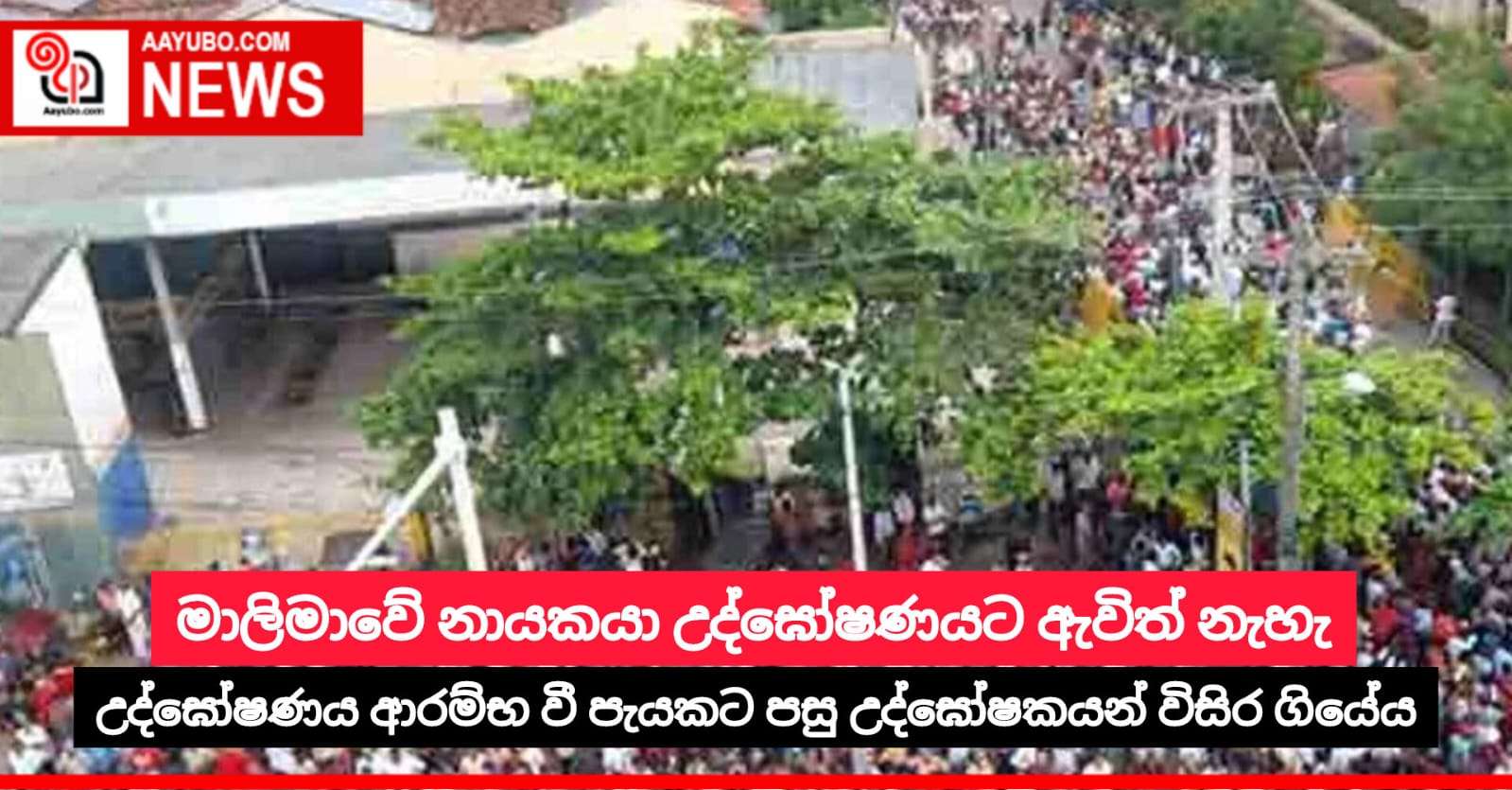 මාලිමාවේ නායකයා උද්ඝෝෂණයට ඇවිත් නැහැ