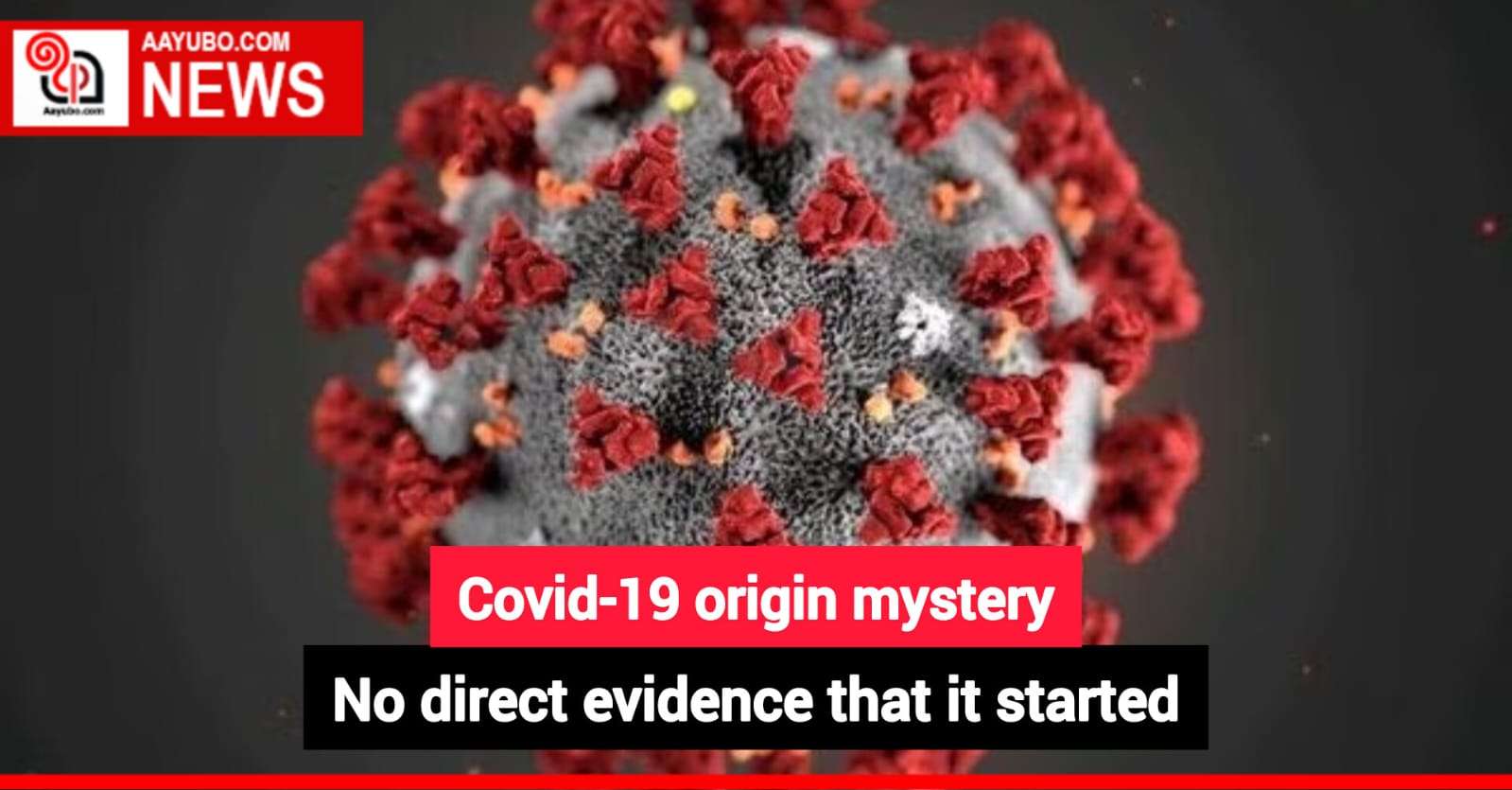 Covid-19 origin mystery 