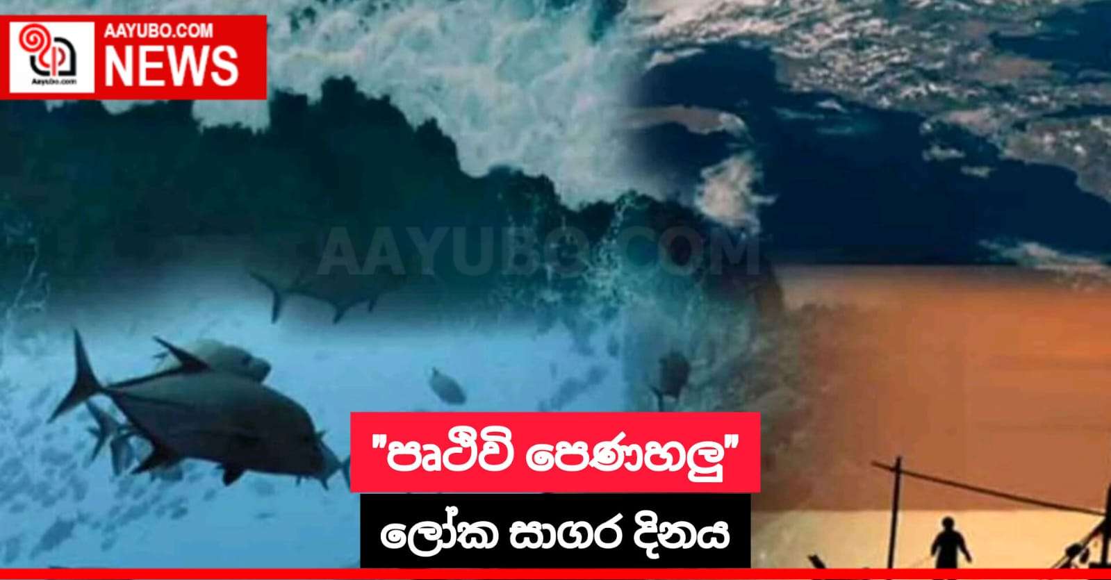 ලෝක සාගර දිනය