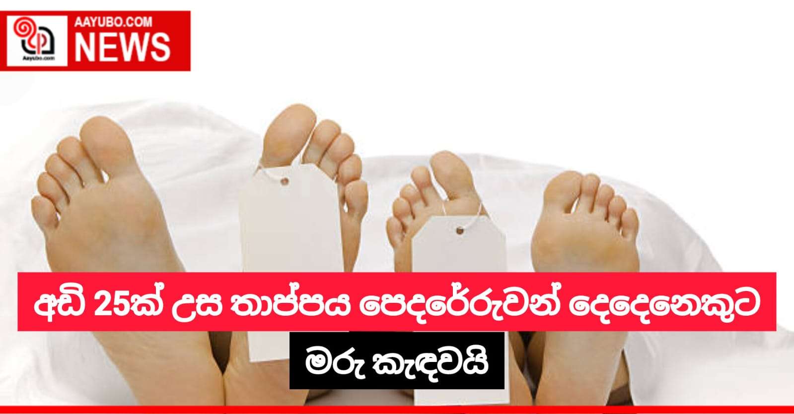 අඩි 25ක් උස තාප්පය පෙදරේරුවන් දෙදෙනෙකුට මරු කැඳවයි
