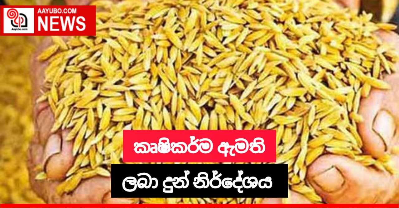 කෘෂිකර්ම අමාත්‍යවරයා ලබා දුන් නිර්දේශය