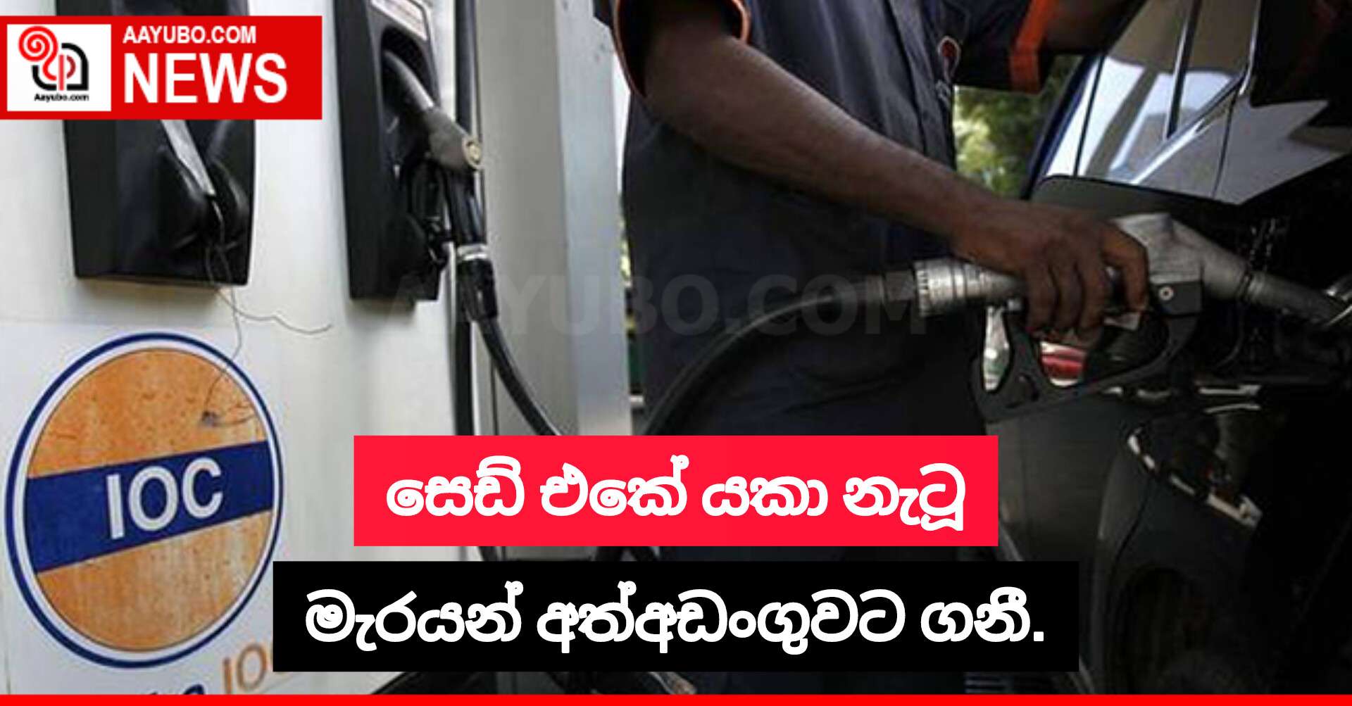 සෙඩ් එකේ යකා නැටූ මැරයන් අත්අඩංගුවට ගනී.