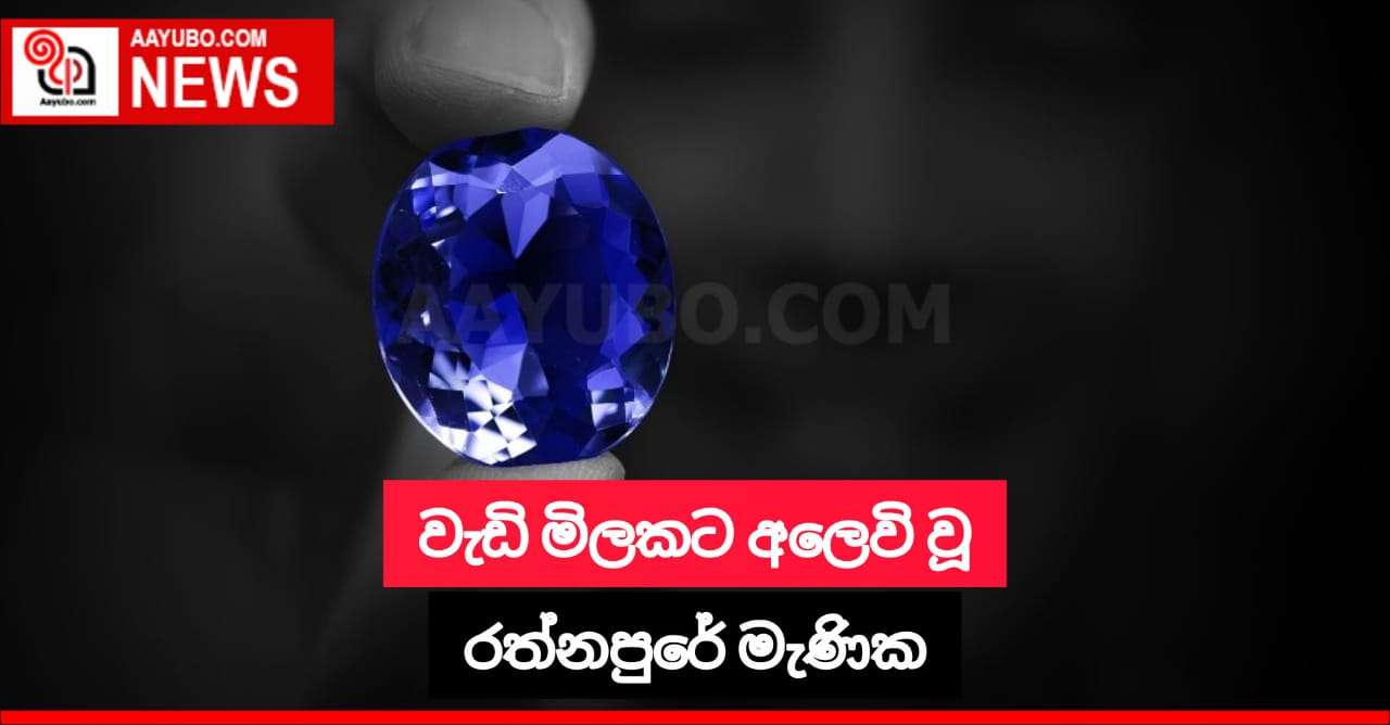 වැඩි මිලකට අලෙවි වූ රත්නපුරේ මැණික