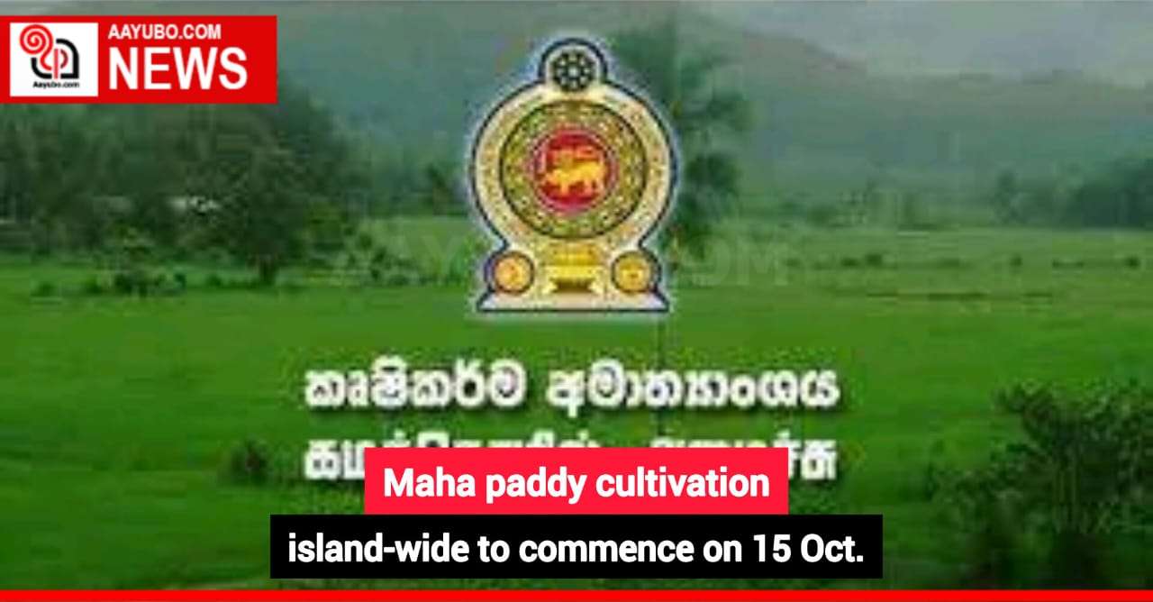 Maha paddy cultivation island-wide to commence on 15 Oct.