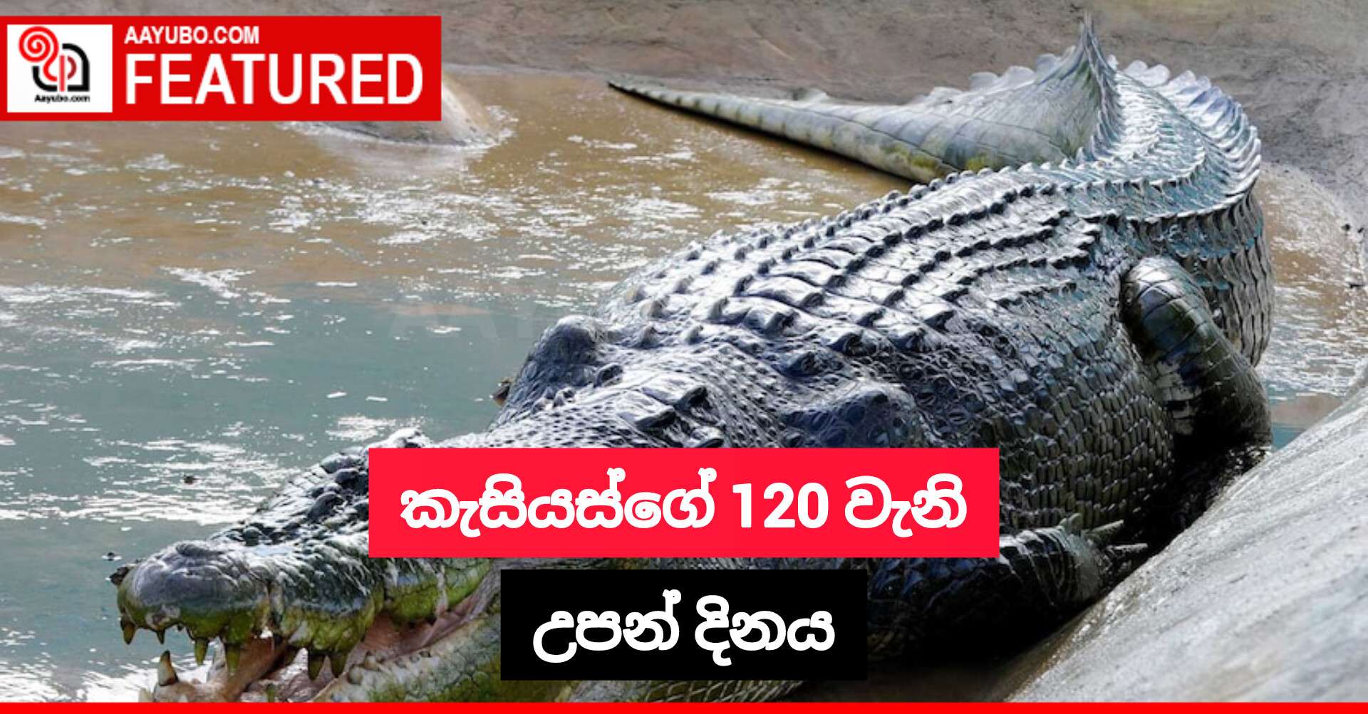 කැසියස්ගේ 120 වැනි උපන් දිනය