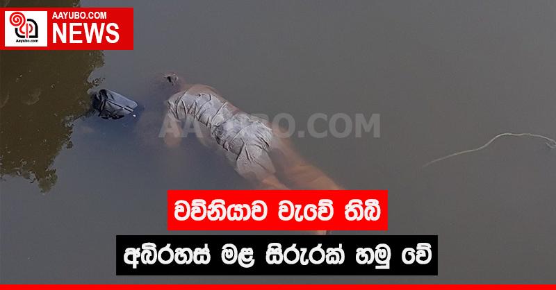 වව්නියාව වැවේ තිබී අබිරහස් මළ සිරුරක් හමු වේ