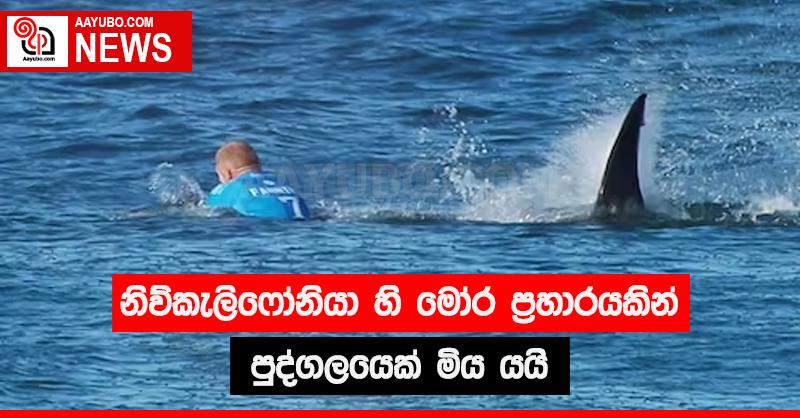 නිව්කැලිෆෝනියා හි  මෝර ප්‍රහාරයකින් පුද්ගලයෙක් මිය යයි