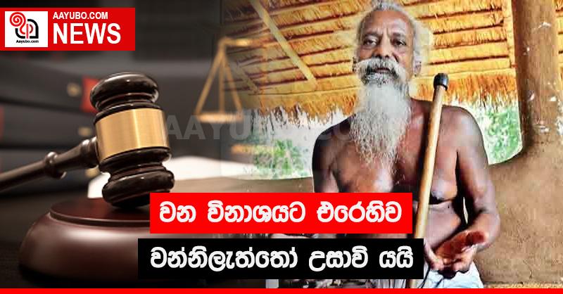 වන විනාශයට එරෙහිව වන්නිලැත්තෝ උසාවි යයි
