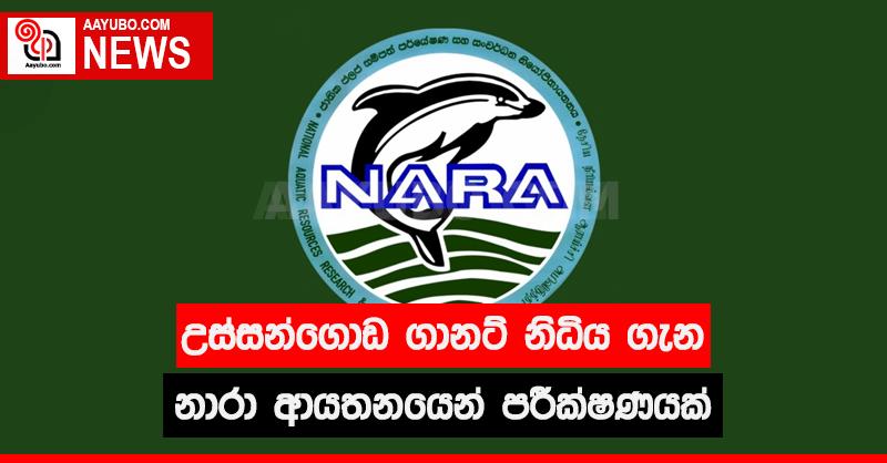 උස්සන්ගොඩ ගානට්  නිධිය ගැන නාරා  ආයතනයෙන් පරීක්ෂණයක්