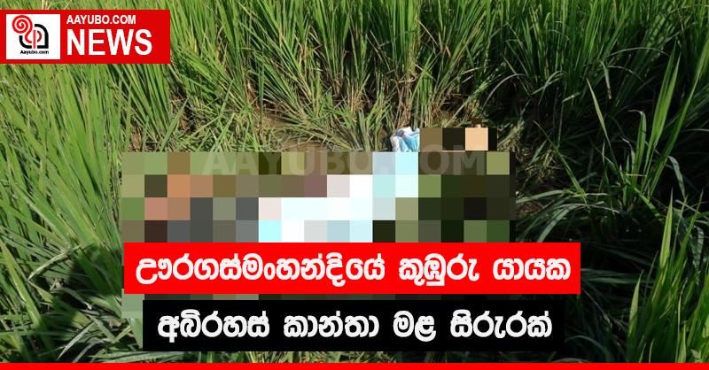 ඌරගස්මංහන්දියේ කුඹුරු යායක අබිරහස් කාන්තා මළසිරුරක්