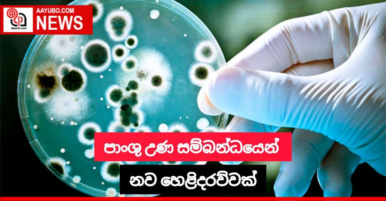  පාංශු උණ සම්බන්ධයෙන් නව හෙළිදරව්වක්