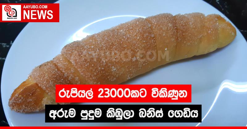 රුපියල් 23,000 කට විකිණුන අරුම පුදුම කිඹුලා බනිස් ගෙඩිය
