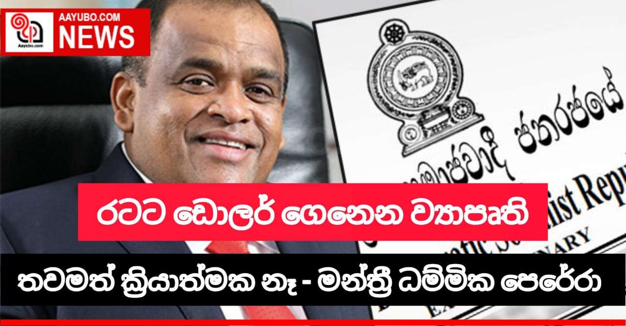 රටට ඩොලර් ගෙනෙන ව්‍යාපෘති තවමත් ක්‍රියාත්මක නෑ