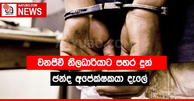 ඡන්ද අපේක්ෂකයෙකු විසින් වනජීවී  නිලධාරියෙකුට පහර දෙයි