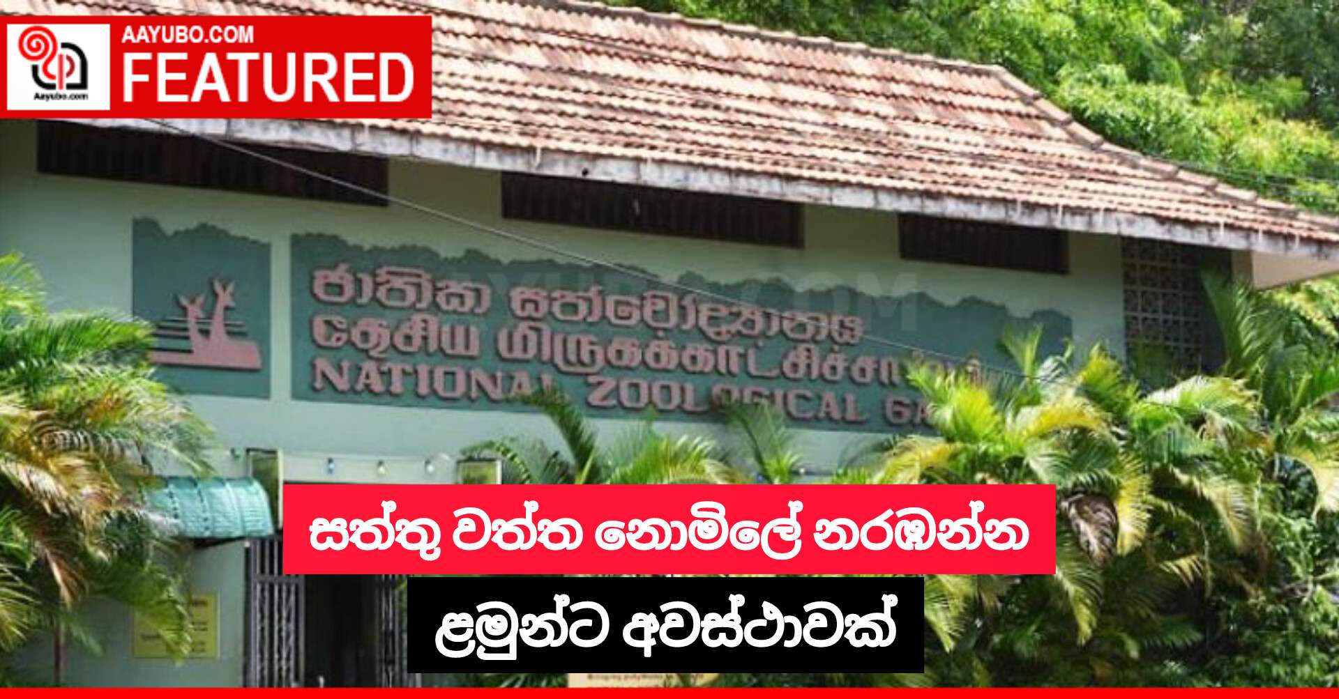 සත්තු වත්ත නොමිලේ නරඹන්න ළමුන්ට අවස්ථාවක්