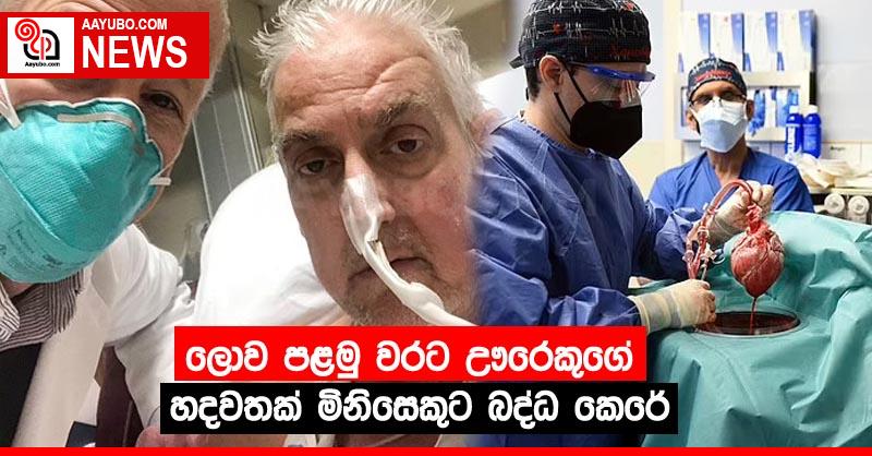 ලොව පළමු වරට ඌරෙකුගේ හදවතක් මිනිසෙකුට බද්ධ කෙරේ