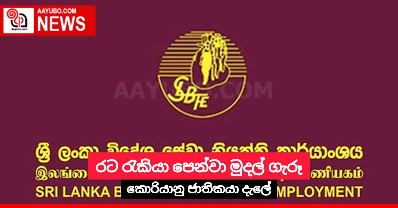 රට රැකියා පෙන්වා මුදල් ගැරූ කොරියානු ජාතිකයා දැලේ