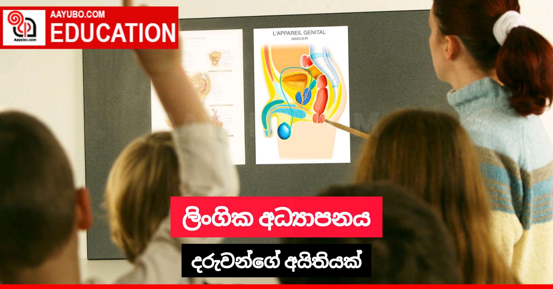 ලිංගික අධ්‍යාපනය දරුවන්ගේ අයිතියක්