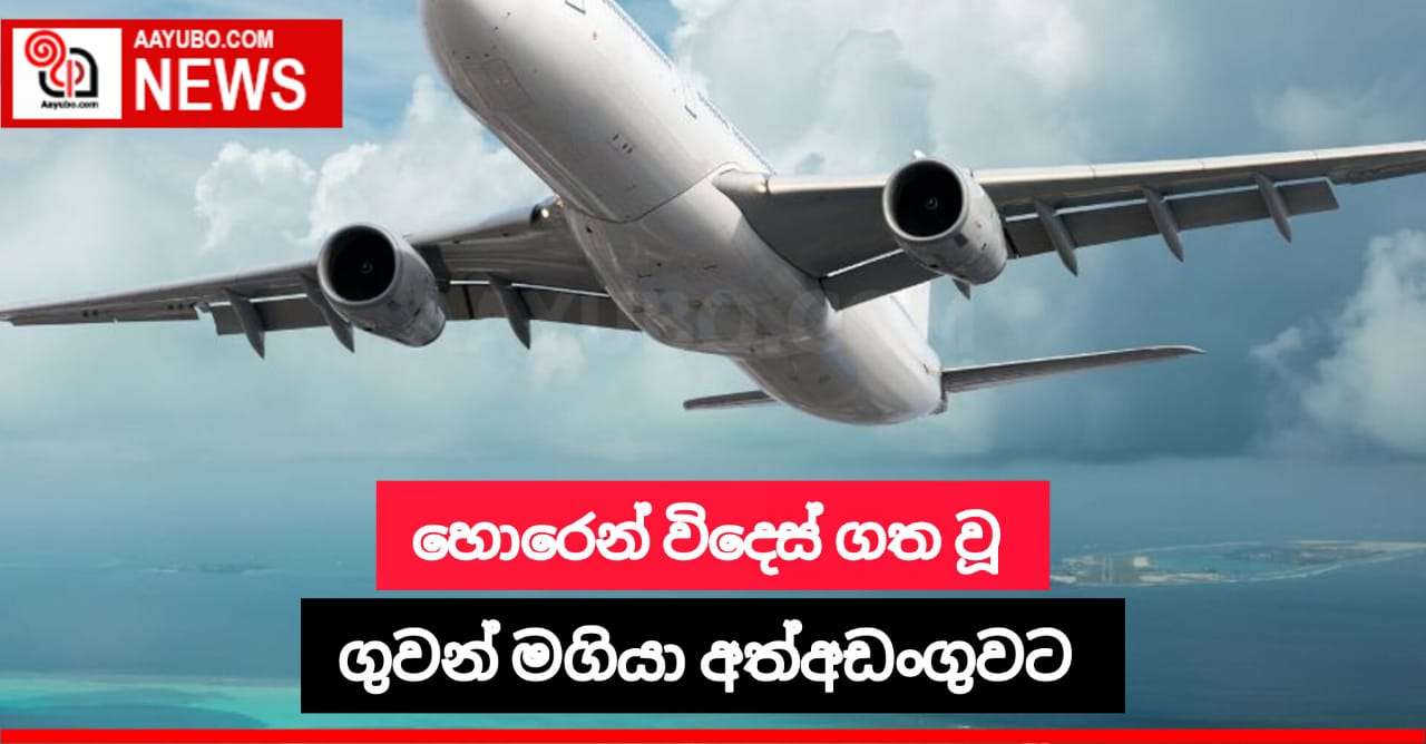 හොරෙන් විදෙස් ගත වූ මගියා ගුවන්තොටුපලේදී අත්අඩංගුවට