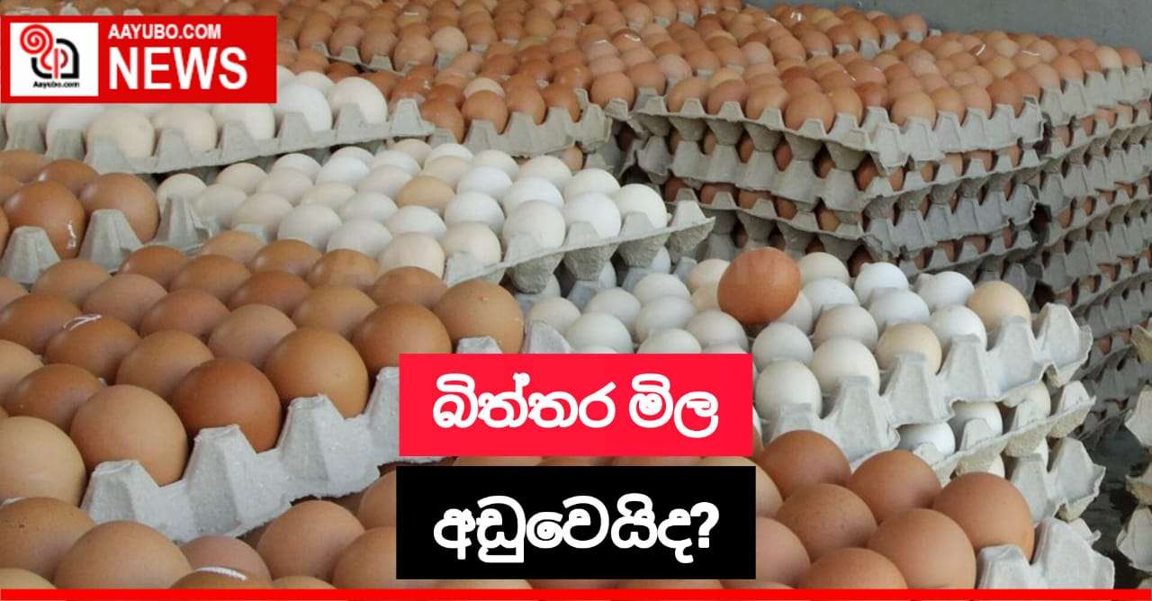 බිත්තර මිල අඩු වෙයිද?
