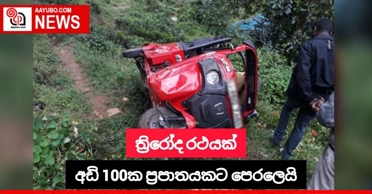 ත්‍රිරෝදරථයක් අඩි 100ක ප්‍රපාතයකට වැටෙයි