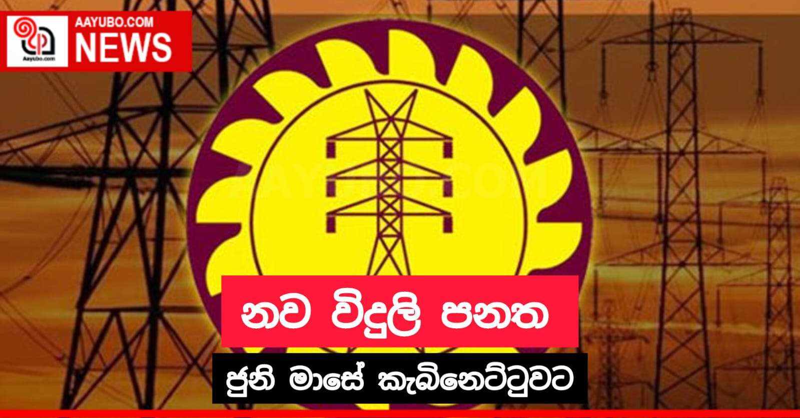 නව විදුලි පනත ජුනි මාසේ කැබිනෙට්ටුවට
