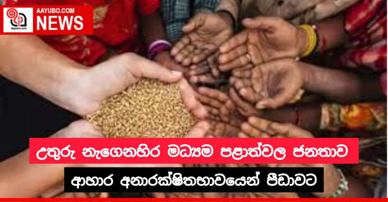 ජනගහනයෙන් 17%ක පිරිසක් ආහාර අනාරක්ෂිතභාවයෙන් පීඩාවට