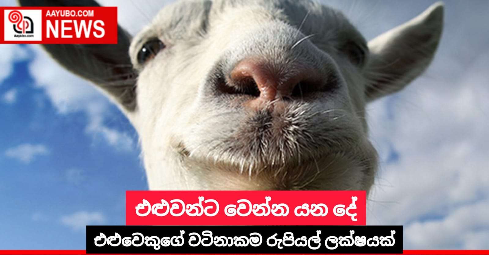 එළුවන්ට වෙන්න යන දේ