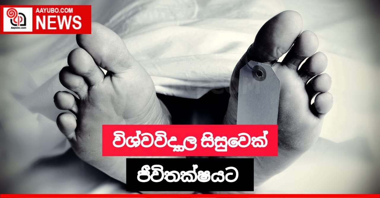 විශ්වවිද්‍යාල සිසුවෙක් ජීවිතක්ෂයට