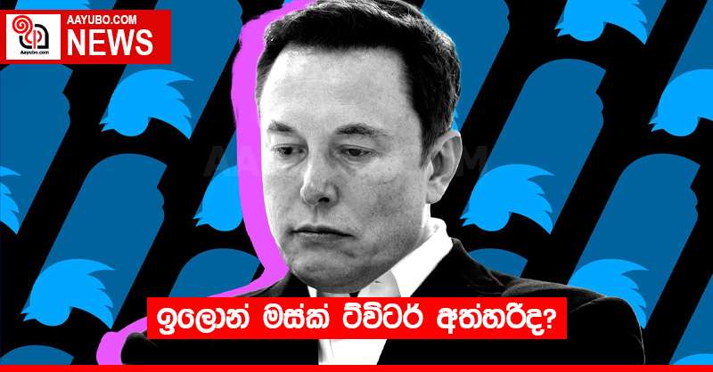 ඉලොන් මස්ක් ට්විටර් අත්හරීද?
