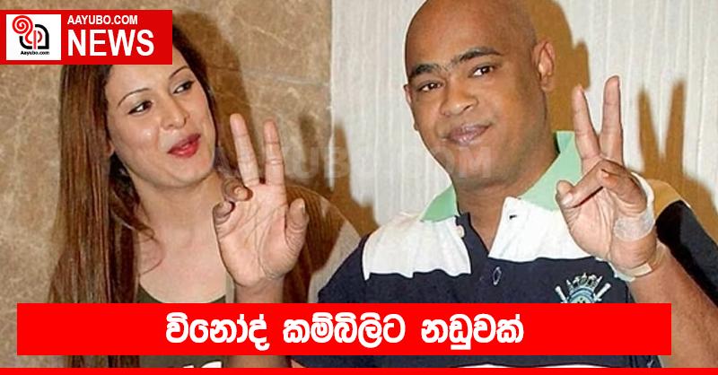 පටලැවිල්ලක පැටලුණු කම්බිලි.